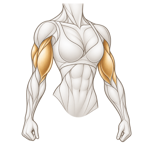 ARM TRAINING